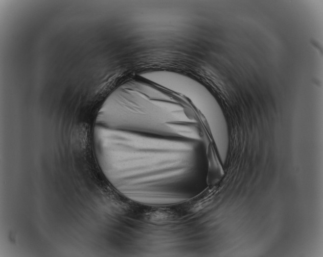 X0000091670412200709131532