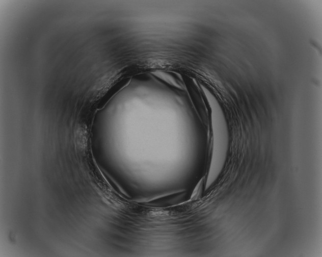 X0000091670413200709131532