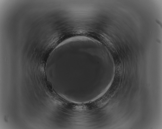 X0000091670415200709131532