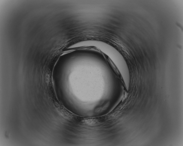 X0000091670417200709131532