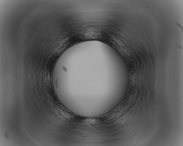 X0000091670418200709131532