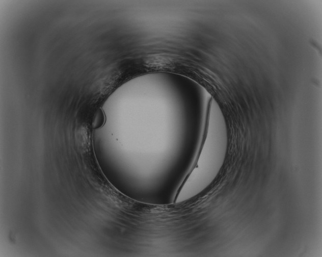 X0000091670420200709131532