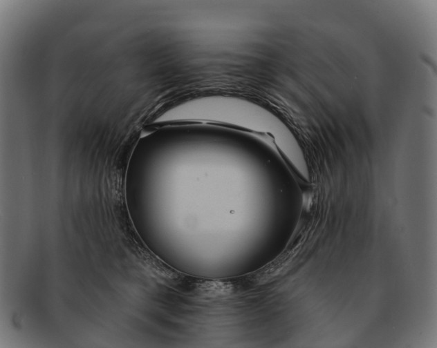 X0000091670421200709131532