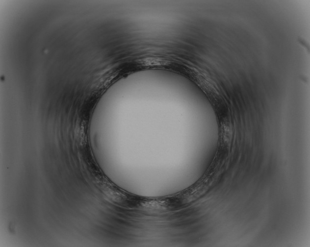 X0000091670422200709131532