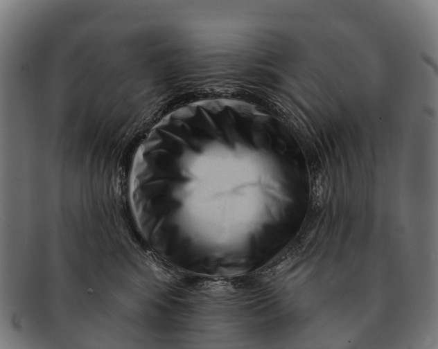 X0000091670424200709131532