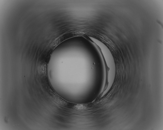 X0000091670425200709131532