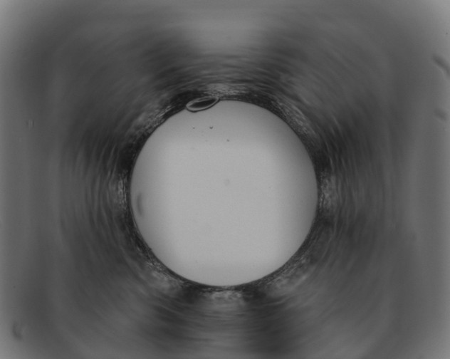 X0000091670426200709131532