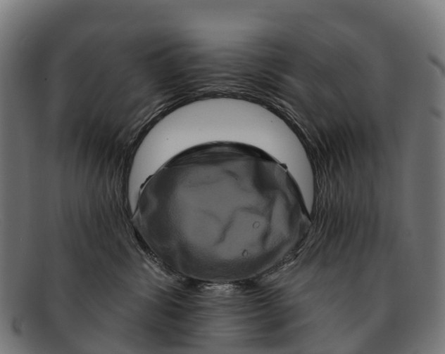 X0000091670428200709131532