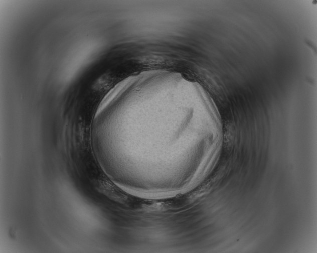 X0000091670430200709131532