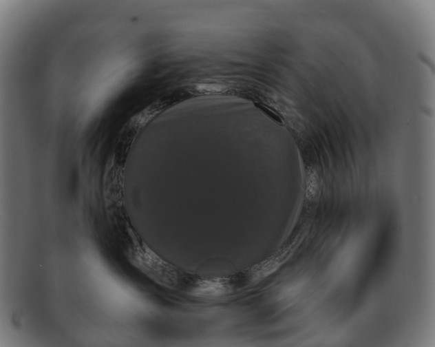 X0000091670431200709131532