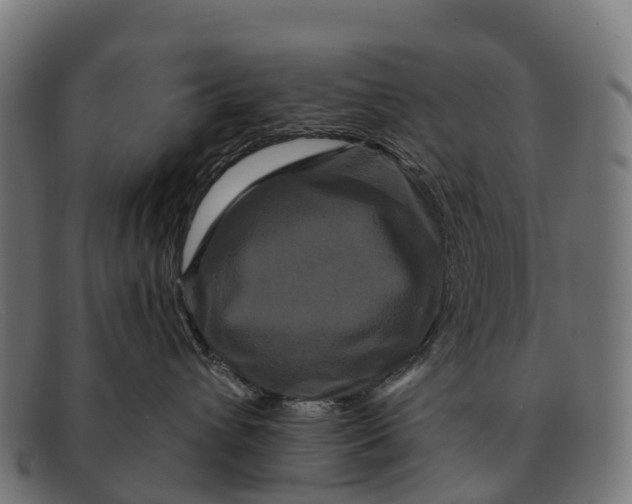 X0000091670432200709131532