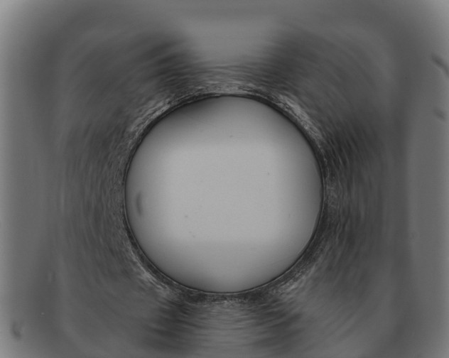 X0000091670433200709131531