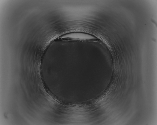 X0000091670434200709131531