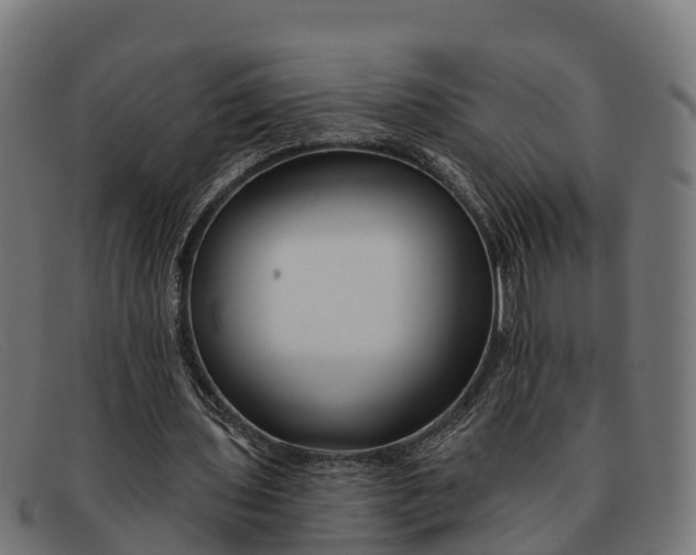 X0000091670435200709131531