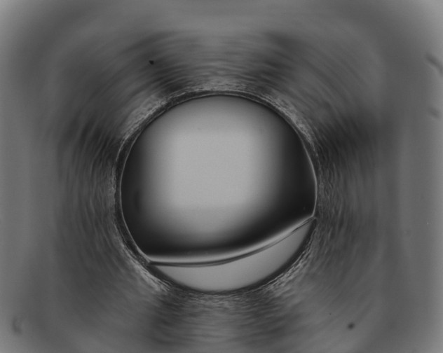 X0000091670437200709131531