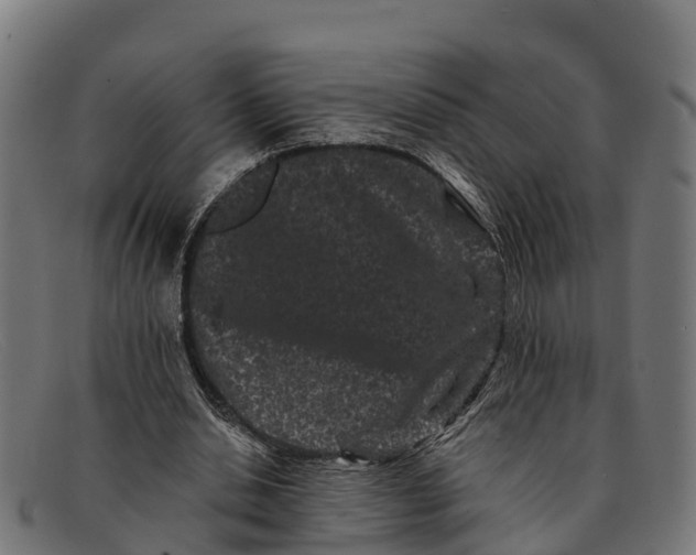 X0000091670438200709131531