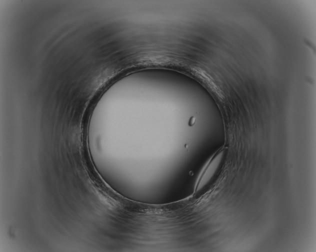 X0000091670439200709131531