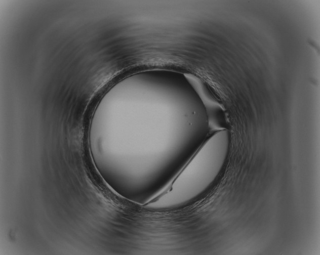 X0000091670440200709131531