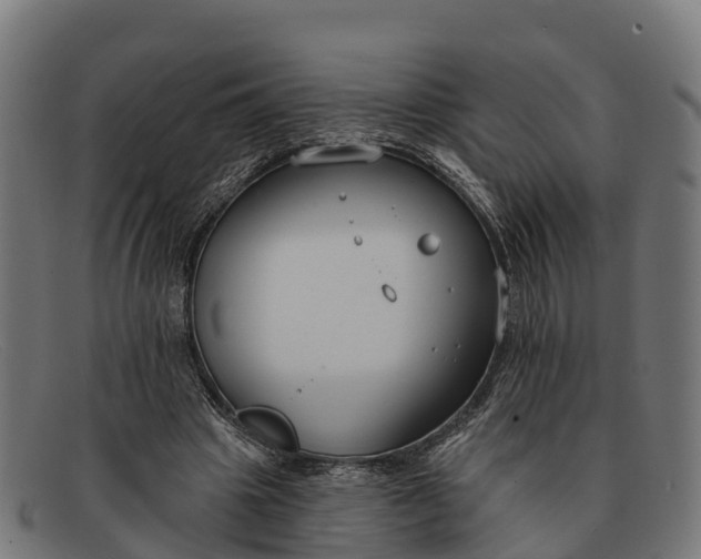 X0000091670441200709131531