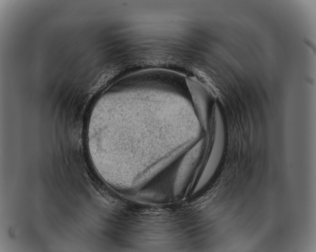 X0000091670443200709131531