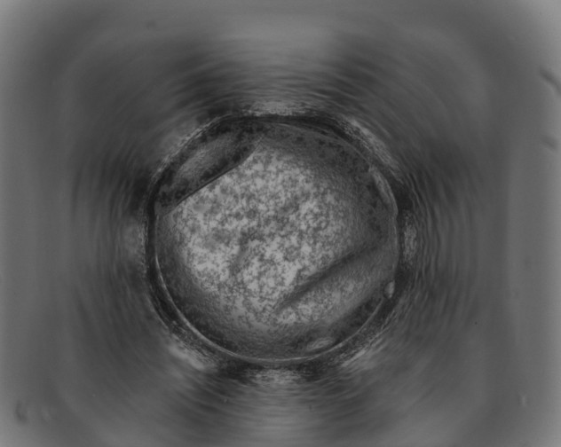 X0000091670444200709131531