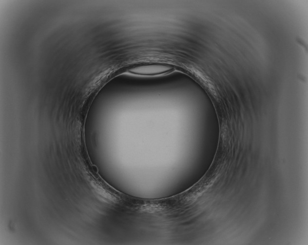 X0000091670445200709131531