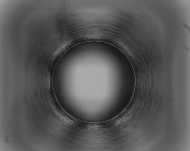 X0000091670446200709131531