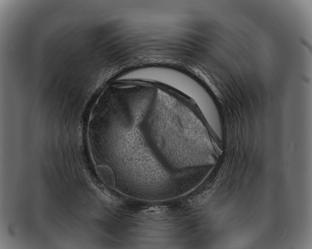 X0000091670447200709131531