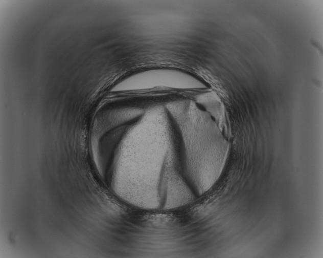 X0000091670449200709131531