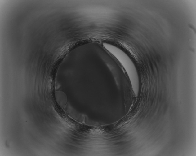 X0000091670451200709131531