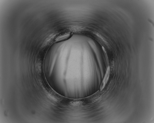 X0000091670452200709131531