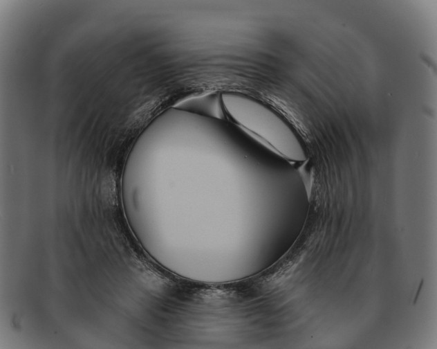 X0000091670453200709131531