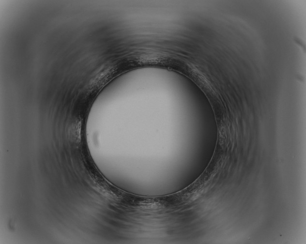 X0000091670454200709131531