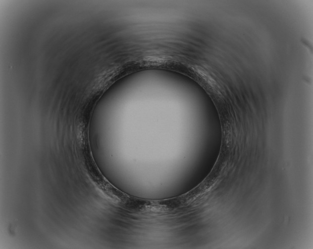 X0000091670455200709131531