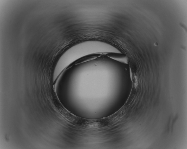 X0000091670456200709131531