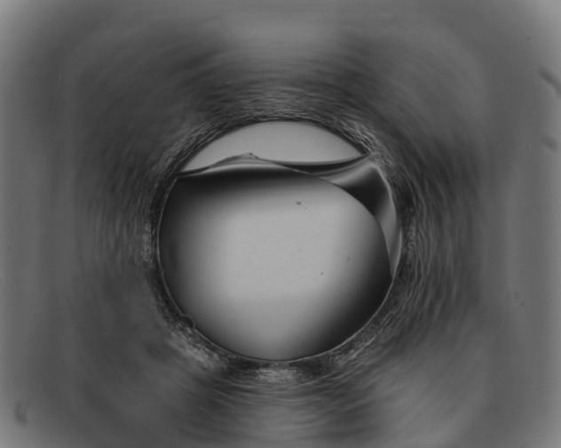 X0000091670457200709131531