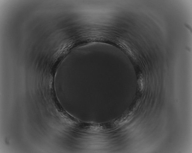 X0000091670458200709131531