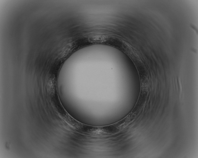 X0000091670460200709131532