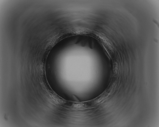 X0000091670461200709131532