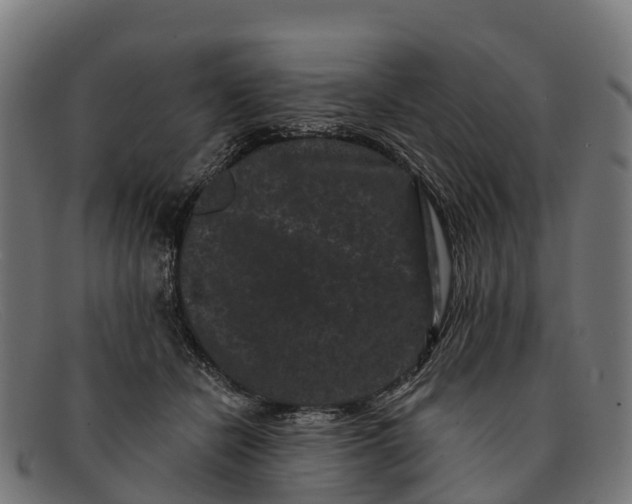 X0000091670462200709131532