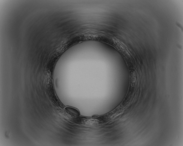 X0000091670463200709131532