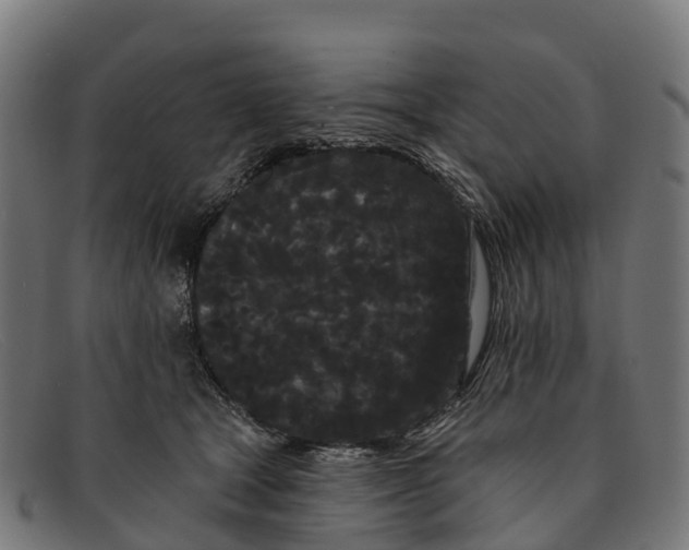 X0000091670465200709131532