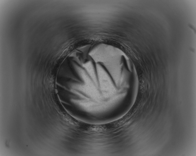 X0000091670466200709131532