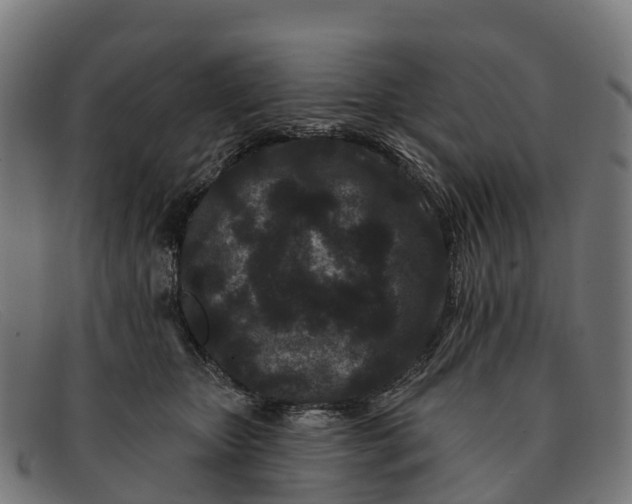 X0000091670467200709131532