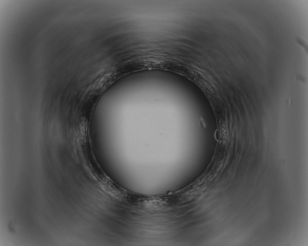 X0000091670468200709131532