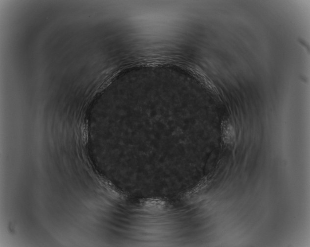 X0000091670471200709131532