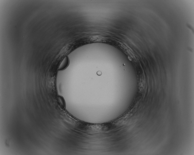 X0000091670473200709131532