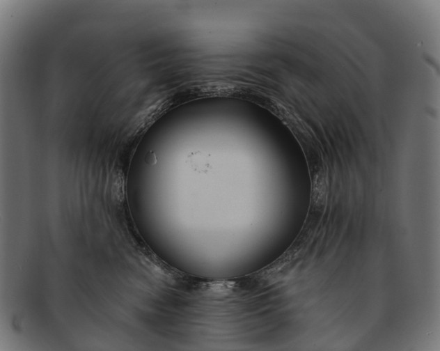 X0000091670474200709131532