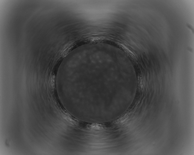 X0000091670475200709131532