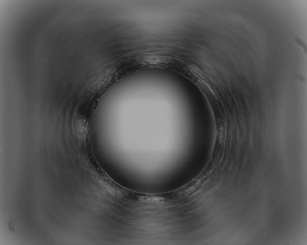 X0000091670476200709131532